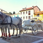 noleggio carrozze matrimoni milano