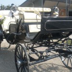 noleggio carrozze matrimonio bergamo