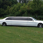 noleggio limousine bergamo
